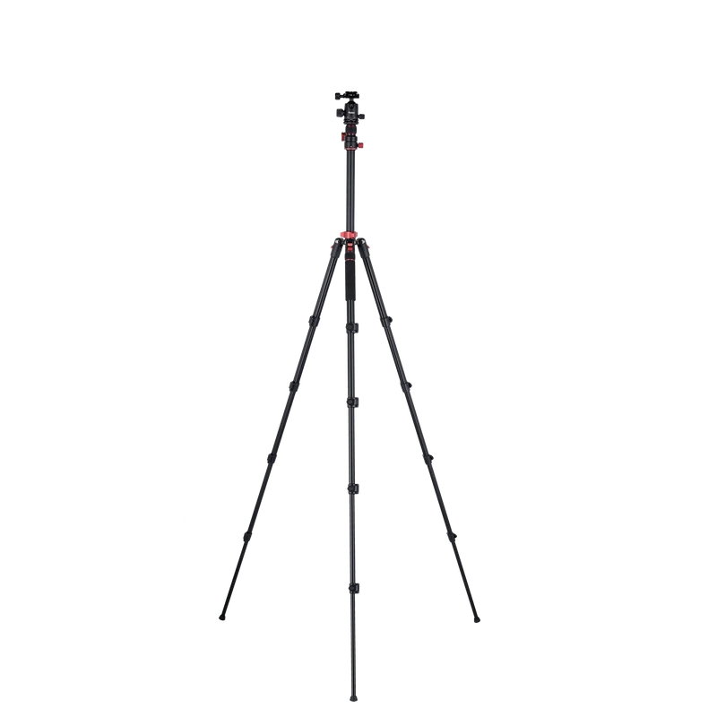 Stativ I Compact Traveler No.2 XL I Foto