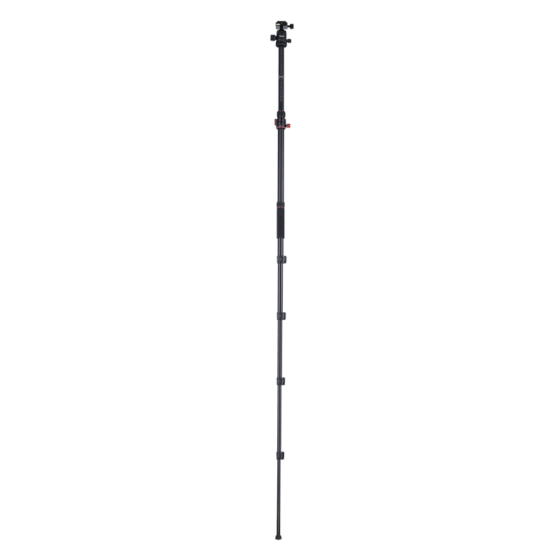 Stativ I Compact Traveler No.2 XL I Foto