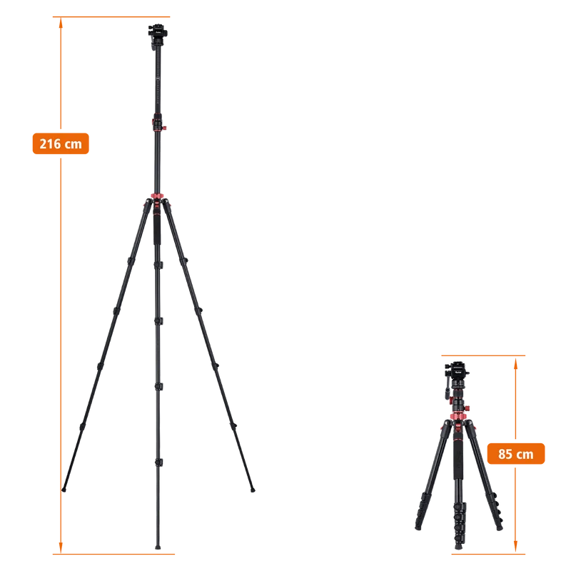 Stativ I Compact Traveler No.2 XL I Video