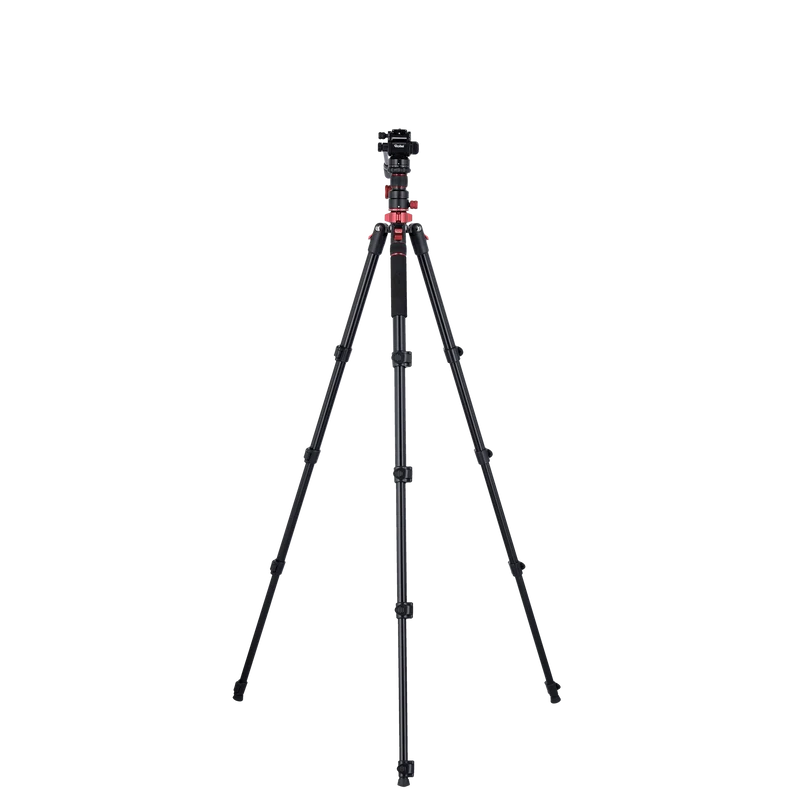 Stativ I Compact Traveler No.2 XL I Video