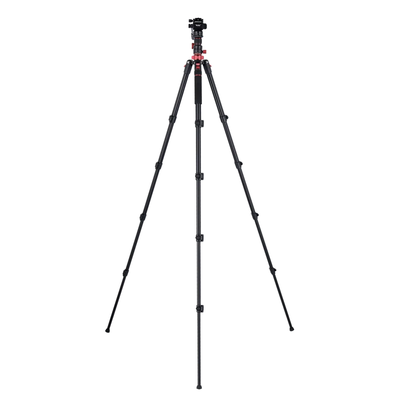 Stativ I Compact Traveler No.2 XL I Video