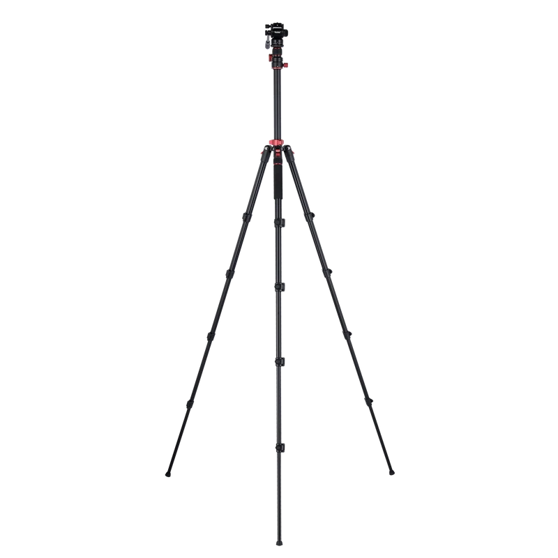Stativ I Compact Traveler No.2 XL I Video