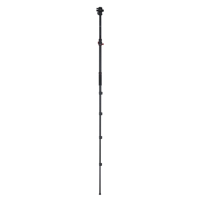 Stativ I Compact Traveler No.2 XL I Video