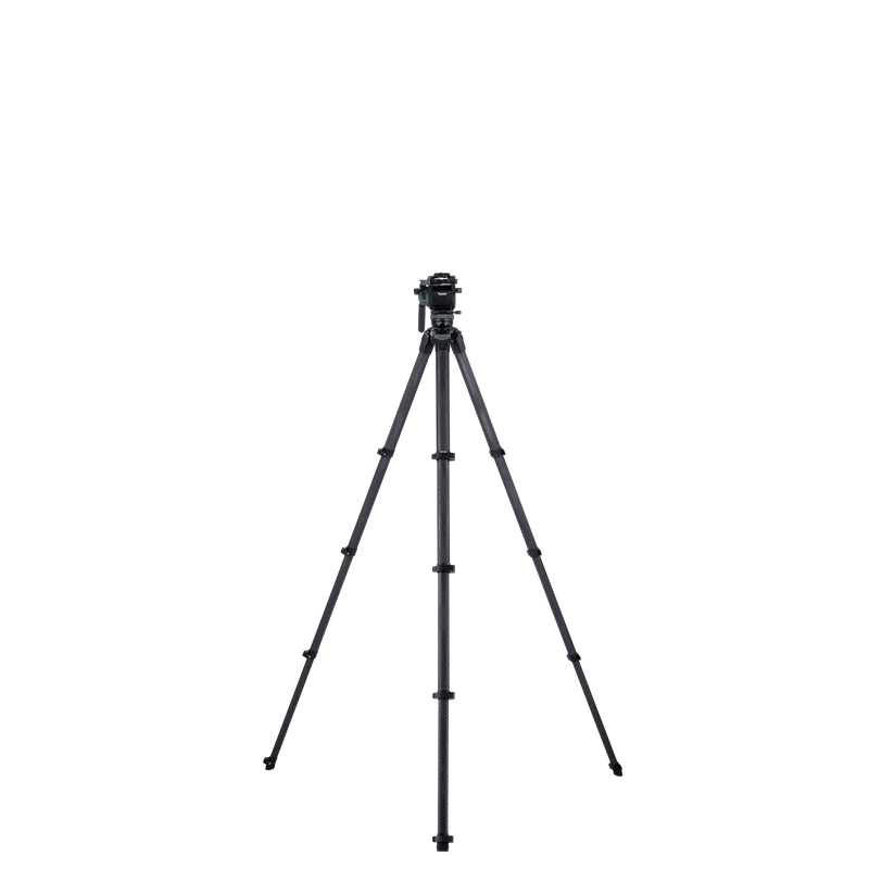 Lion Rock Pro Instinct Video inkl. Stativkopf