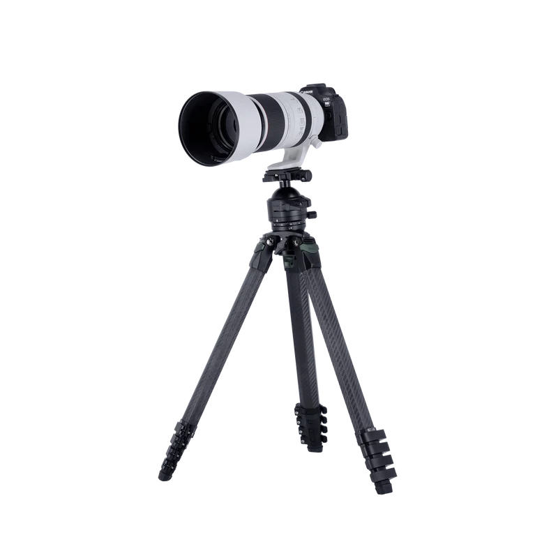 Lion Rock Pro Instinct inkl. Stativkopf