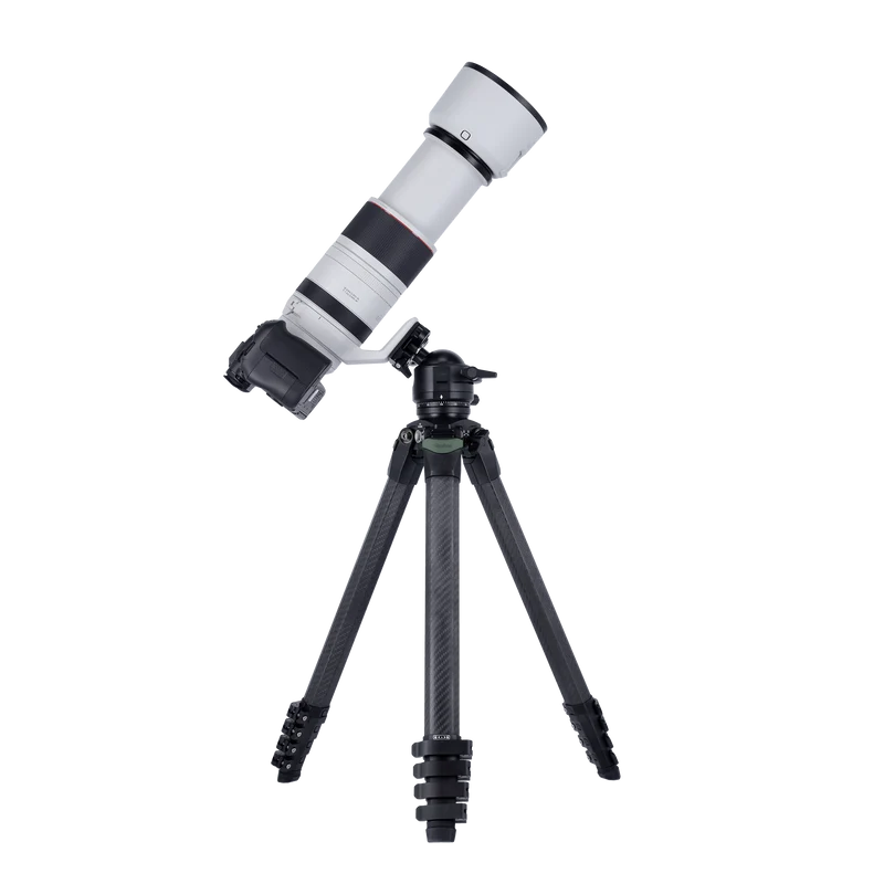 Lion Rock Pro Instinct inkl. Stativkopf