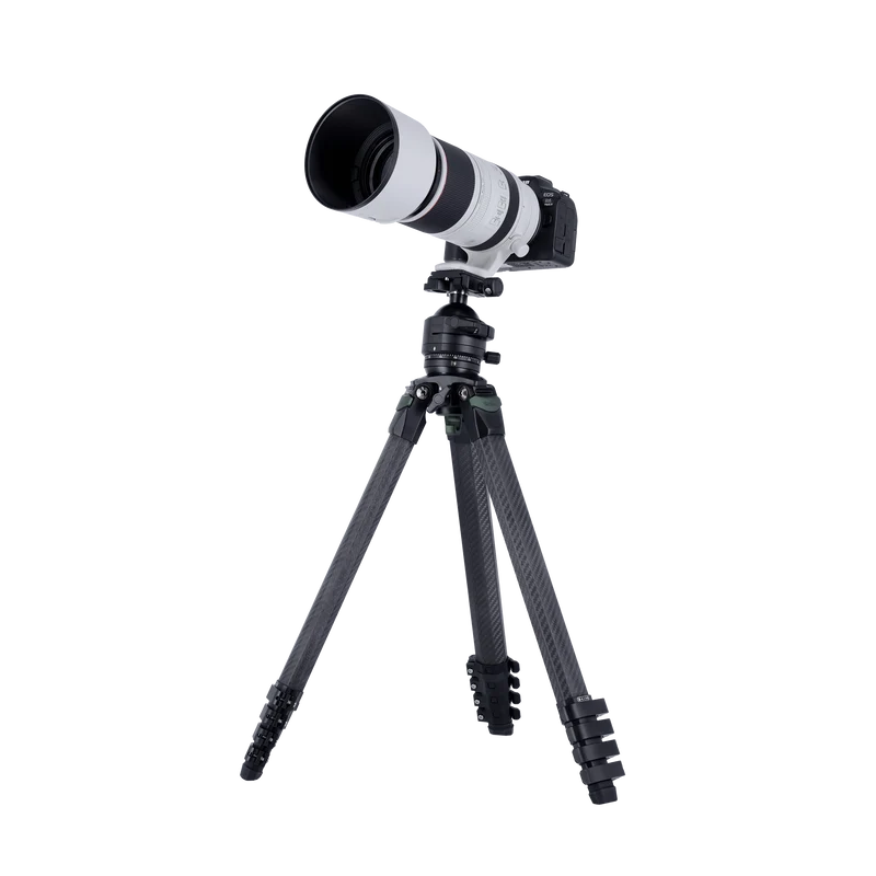 Lion Rock Pro Instinct inkl. Stativkopf