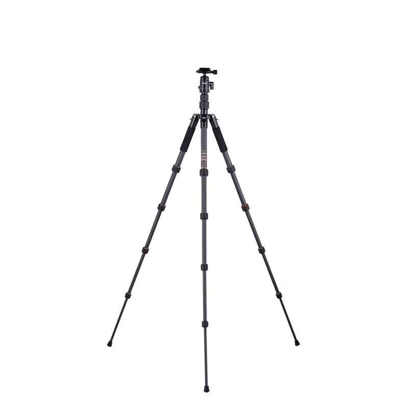 Stativ | Carbon | Compact Traveler No. 1