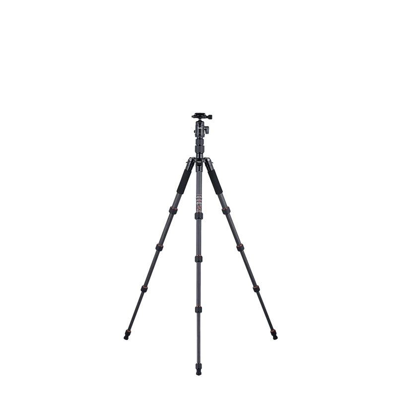 Stativ | Carbon | Compact Traveler No. 1