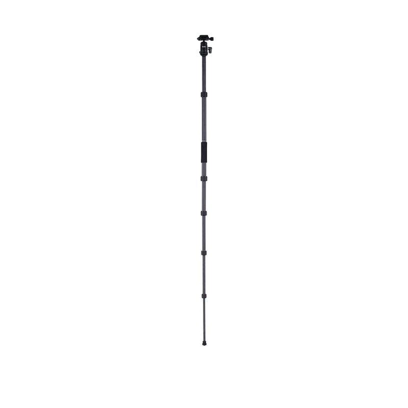 Stativ | Carbon | Compact Traveler No. 1