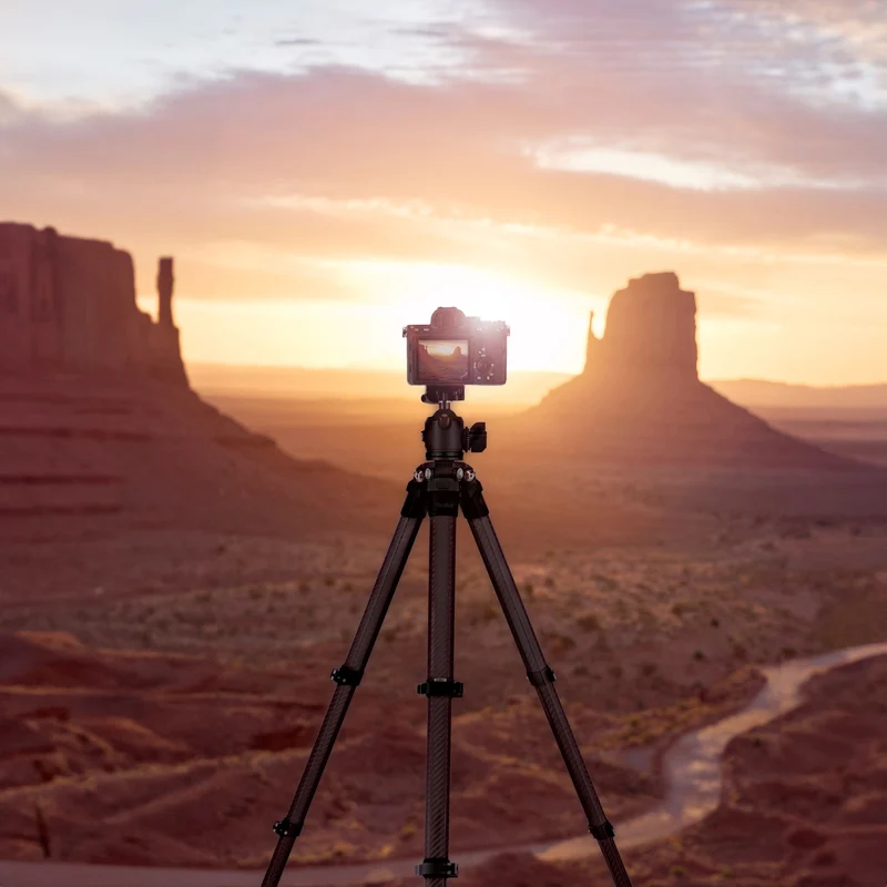 Lion Rock Traveler Pro inkl. Stativkopf | All Black